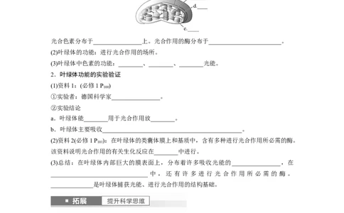 第3单元　第5课时　捕获光能的色素和结构及光合作用的原理_2024年新高考资料_1.2024一轮复习_2024年高考生物一轮复习讲义（新人教版）_学生版在此文件夹_大一轮复习讲义