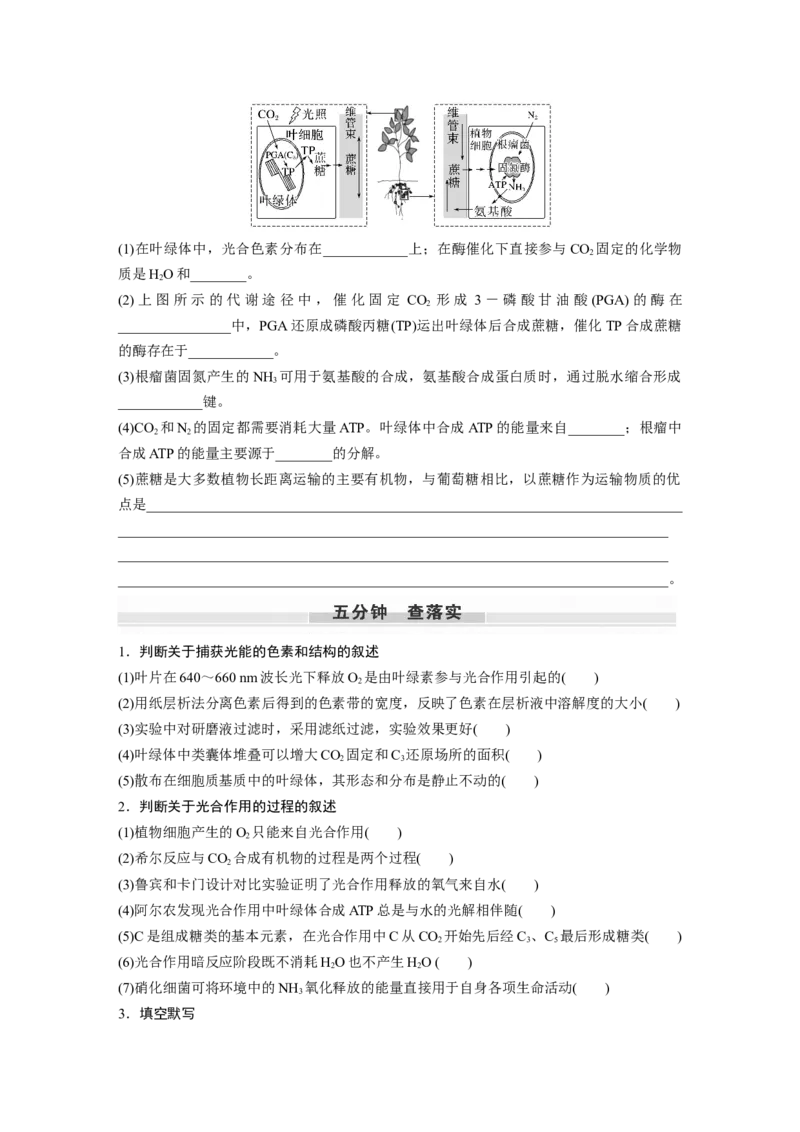 第3单元　第5课时　捕获光能的色素和结构及光合作用的原理_2024年新高考资料_1.2024一轮复习_2024年高考生物一轮复习讲义（新人教版）_学生版在此文件夹_大一轮复习讲义