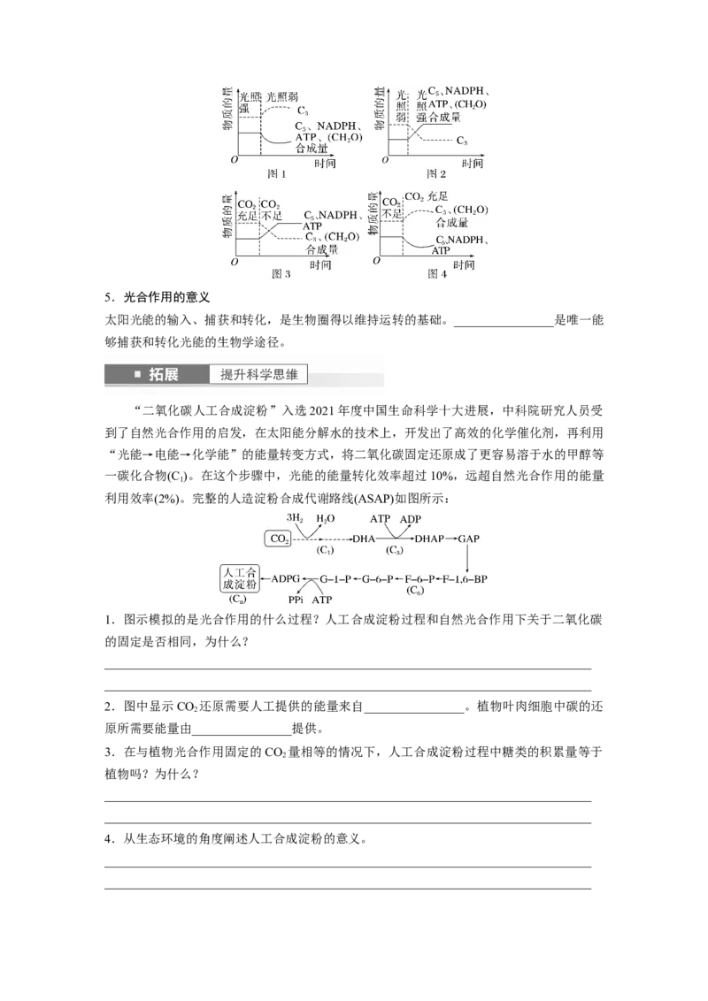 第3单元　第5课时　捕获光能的色素和结构及光合作用的原理_2024年新高考资料_1.2024一轮复习_2024年高考生物一轮复习讲义（新人教版）_学生版在此文件夹_大一轮复习讲义