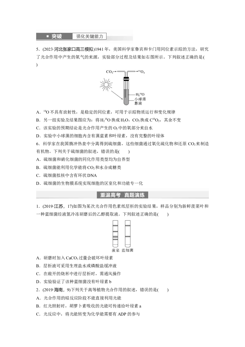 第3单元　第5课时　捕获光能的色素和结构及光合作用的原理_2024年新高考资料_1.2024一轮复习_2024年高考生物一轮复习讲义（新人教版）_学生版在此文件夹_大一轮复习讲义