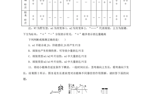 2023版新教材高考生物微专题小练习专练82植物生命活动的调节202208091253_通用版（老高考）复习资料_2023年复习资料_一轮复习_2023届高考生物一轮微专题100练