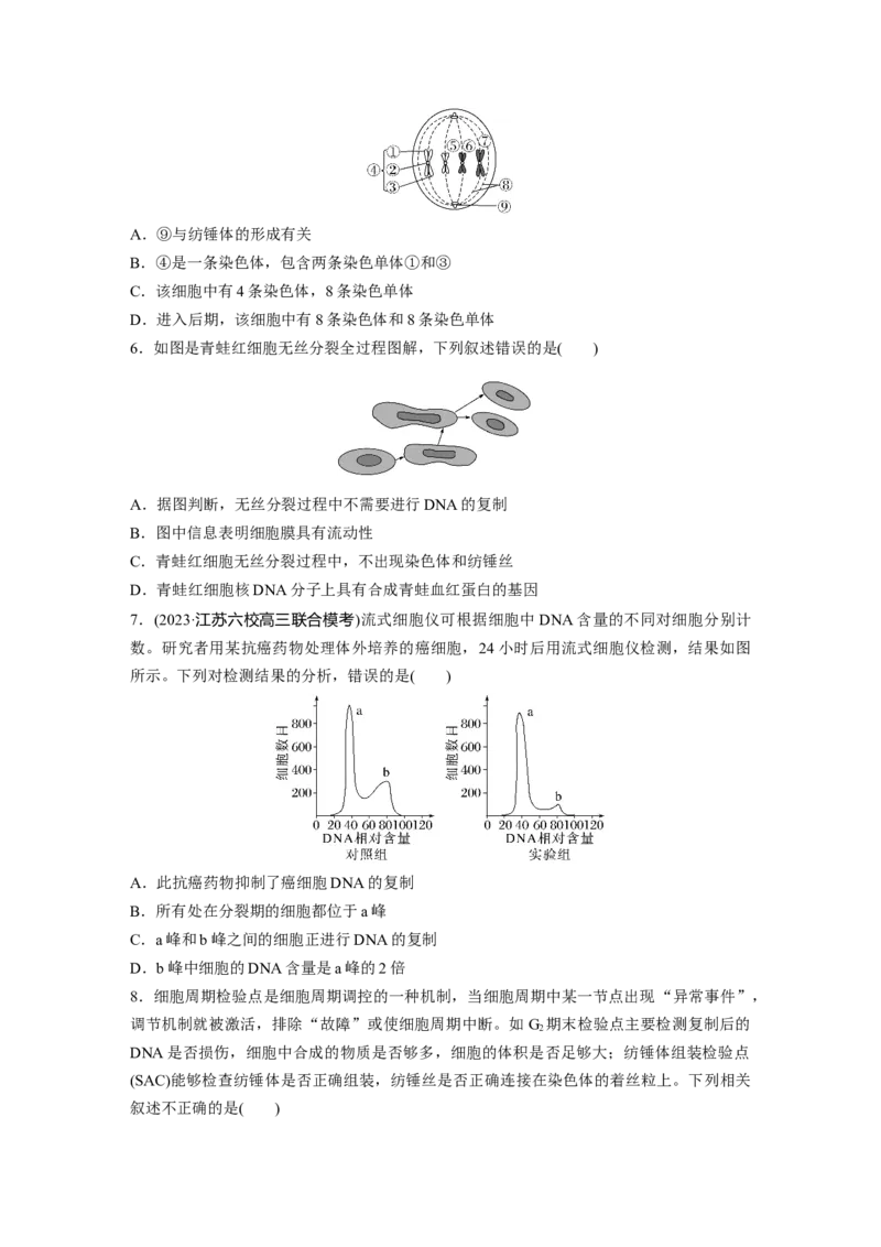 第4单元　课时练1　细胞的增殖_2024年新高考资料_1.2024一轮复习_2024年高考生物一轮复习讲义（新人教版）_学生版在此文件夹_一轮复习69练_第四单元　细胞的生命历程