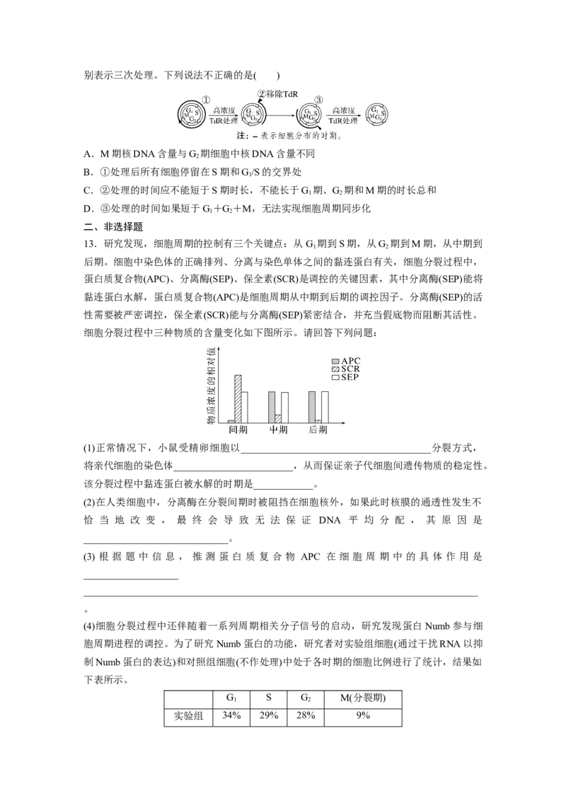 第4单元　课时练1　细胞的增殖_2024年新高考资料_1.2024一轮复习_2024年高考生物一轮复习讲义（新人教版）_学生版在此文件夹_一轮复习69练_第四单元　细胞的生命历程