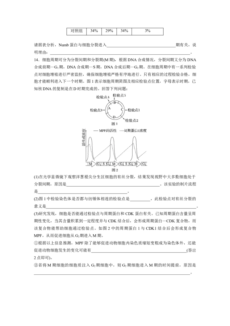 第4单元　课时练1　细胞的增殖_2024年新高考资料_1.2024一轮复习_2024年高考生物一轮复习讲义（新人教版）_学生版在此文件夹_一轮复习69练_第四单元　细胞的生命历程