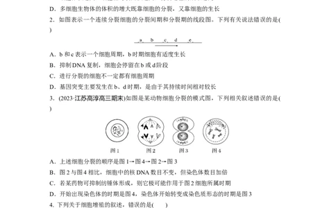 第4单元　课时练1　细胞的增殖_2024年新高考资料_1.2024一轮复习_2024年高考生物一轮复习讲义（新人教版）_学生版在此文件夹_一轮复习69练_第四单元　细胞的生命历程