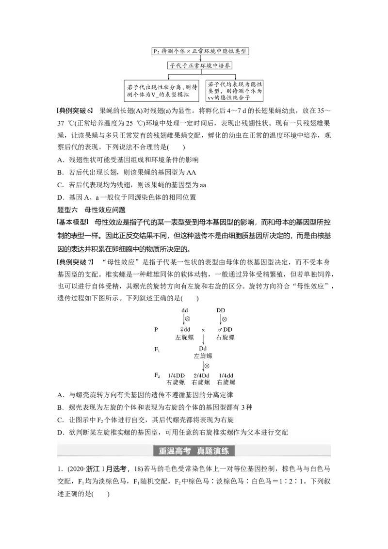 第5单元　第3课时　基因分离定律拓展题型突破_2024年新高考资料_1.2024一轮复习_2024年高考生物一轮复习讲义（新人教版）_学生版在此文件夹_大一轮复习讲义_第五单元　基因的传递规律