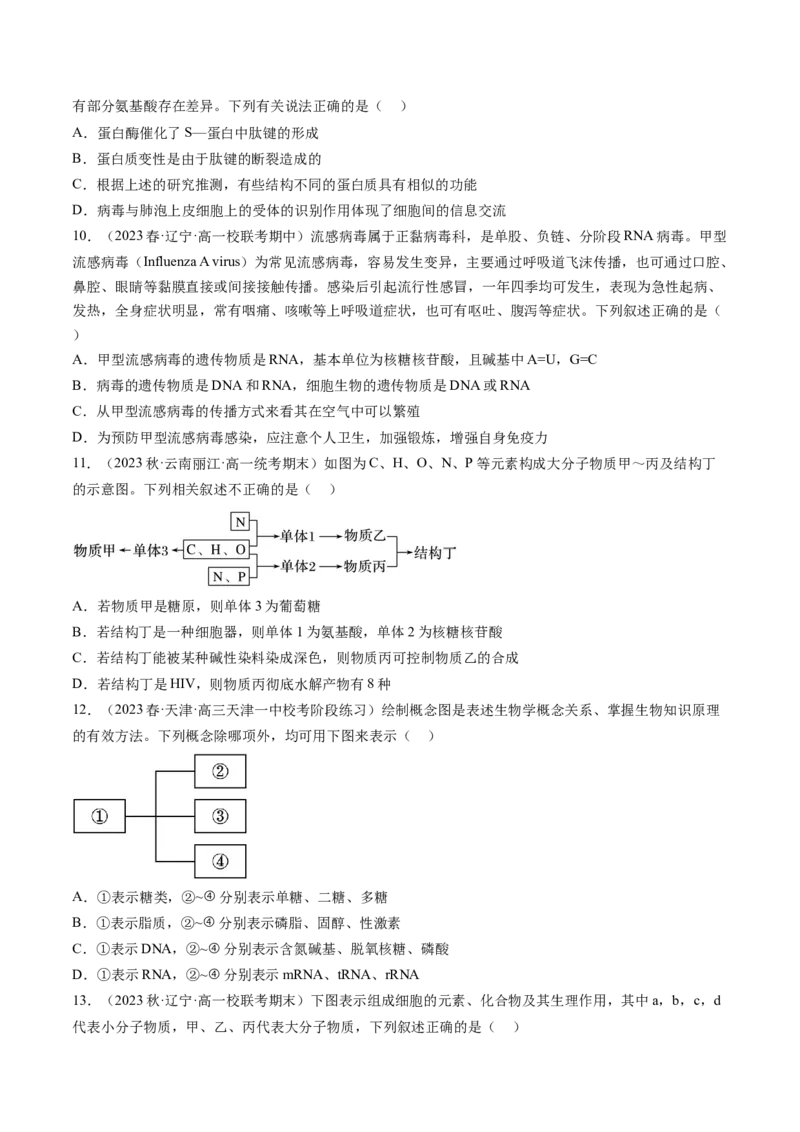 第4讲细胞中的蛋白质和核酸（练习）（原卷版）_2024年新高考资料_1.2024一轮复习_2024年高考生物一轮复习讲练测（新教材新高考）