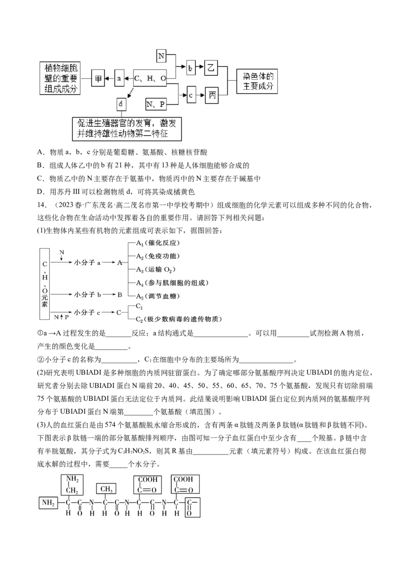 第4讲细胞中的蛋白质和核酸（练习）（原卷版）_2024年新高考资料_1.2024一轮复习_2024年高考生物一轮复习讲练测（新教材新高考）