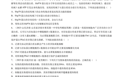 第4讲细胞中的蛋白质和核酸（练习）（原卷版）_2024年新高考资料_1.2024一轮复习_2024年高考生物一轮复习讲练测（新教材新高考）