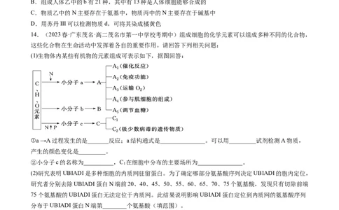 第4讲细胞中的蛋白质和核酸（练习）（原卷版）_2024年新高考资料_1.2024一轮复习_2024年高考生物一轮复习讲练测（新教材新高考）