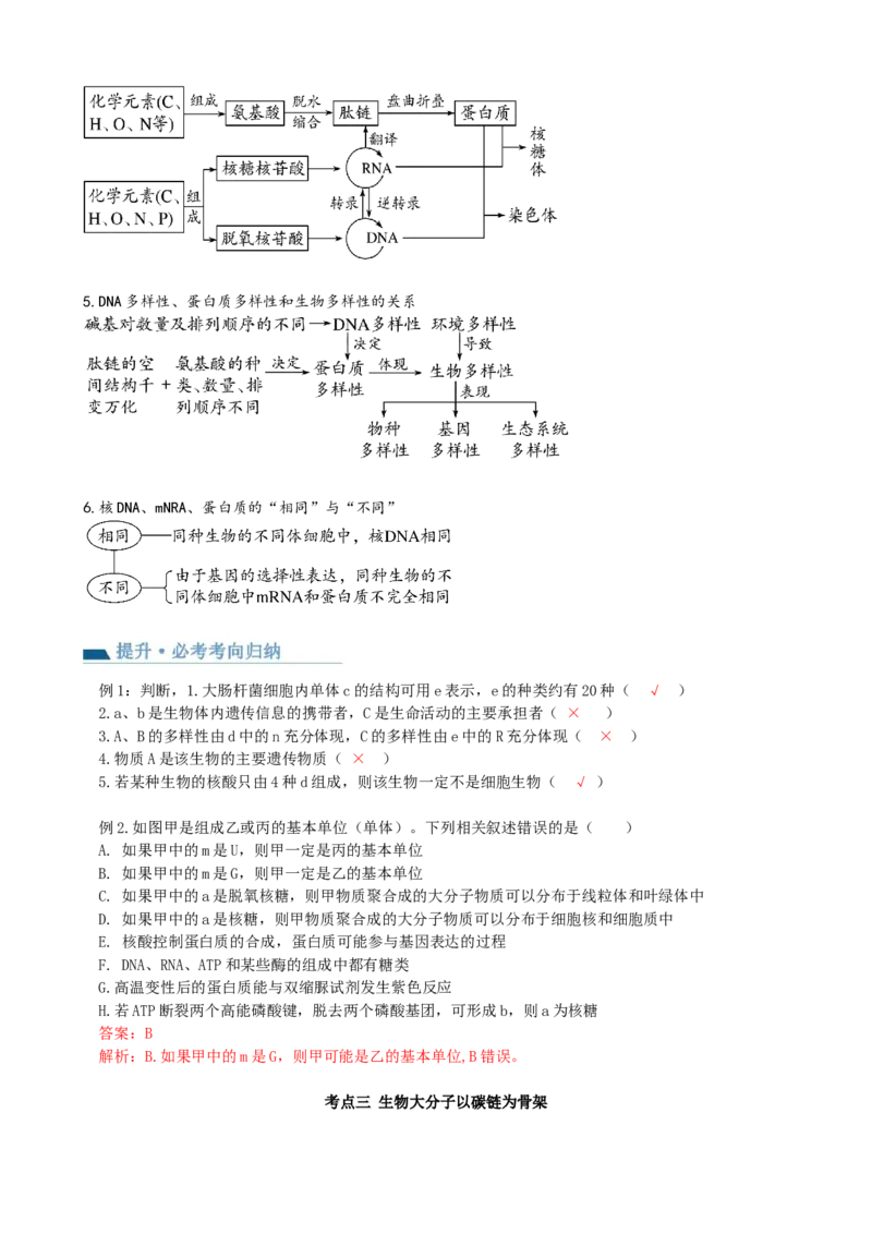 第4讲细胞中的蛋白质和核酸（讲义）（教师版）_2024年新高考资料_1.2024一轮复习_2024年高考生物一轮复习讲练测（新教材新高考）