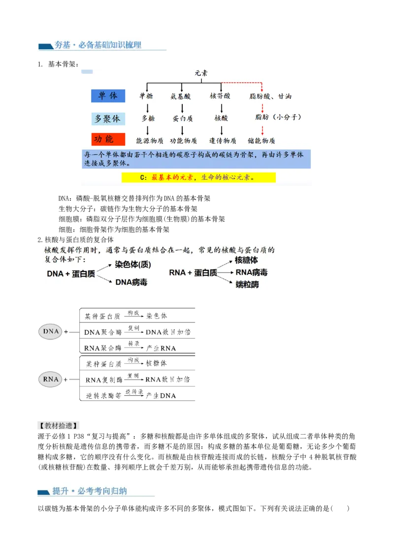 第4讲细胞中的蛋白质和核酸（讲义）（教师版）_2024年新高考资料_1.2024一轮复习_2024年高考生物一轮复习讲练测（新教材新高考）