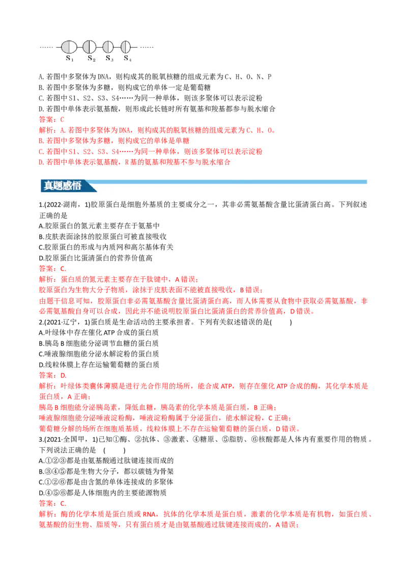 第4讲细胞中的蛋白质和核酸（讲义）（教师版）_2024年新高考资料_1.2024一轮复习_2024年高考生物一轮复习讲练测（新教材新高考）