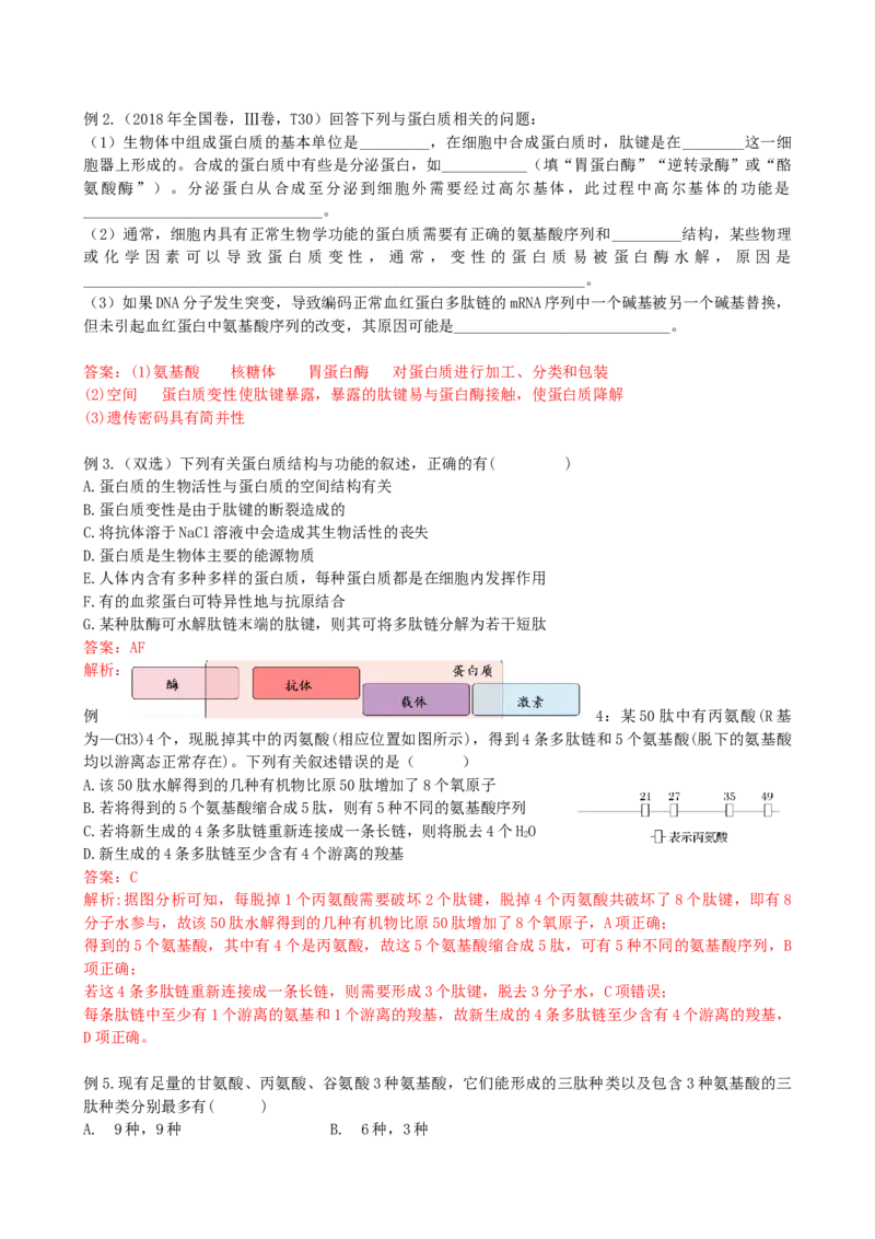 第4讲细胞中的蛋白质和核酸（讲义）（教师版）_2024年新高考资料_1.2024一轮复习_2024年高考生物一轮复习讲练测（新教材新高考）