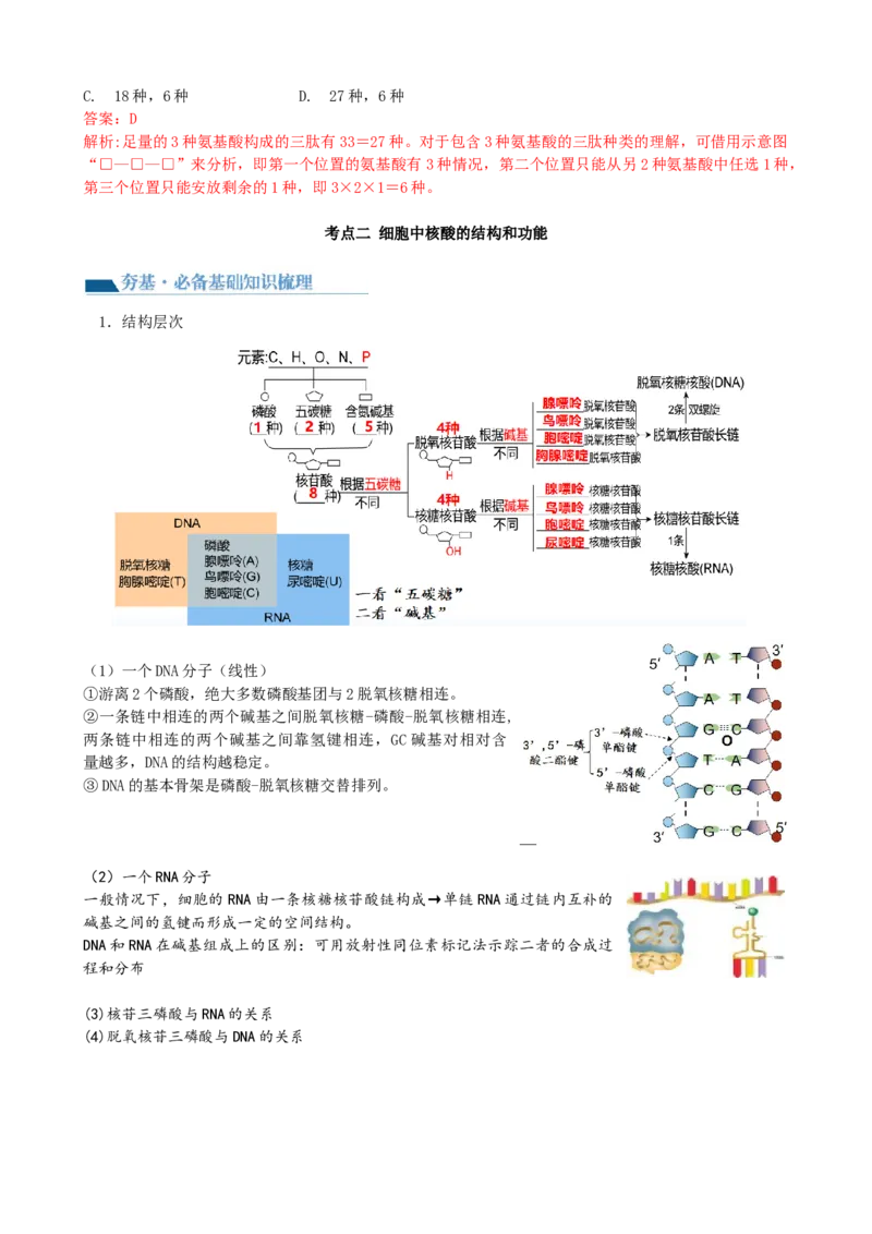 第4讲细胞中的蛋白质和核酸（讲义）（教师版）_2024年新高考资料_1.2024一轮复习_2024年高考生物一轮复习讲练测（新教材新高考）