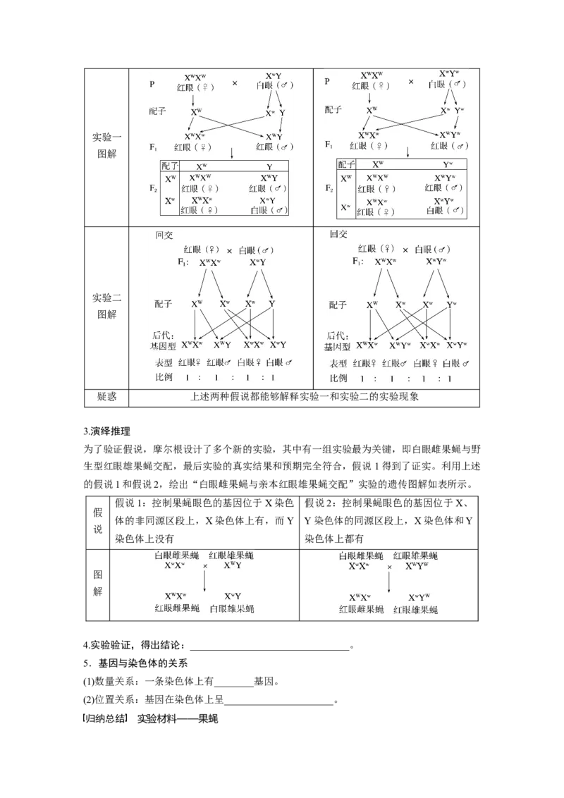 第5单元　第7课时　基因在染色体上的假说与证据_2024年新高考资料_1.2024一轮复习_2024年高考生物一轮复习讲义（新人教版）_学生版在此文件夹_大一轮复习讲义_第五单元　基因的传递规律