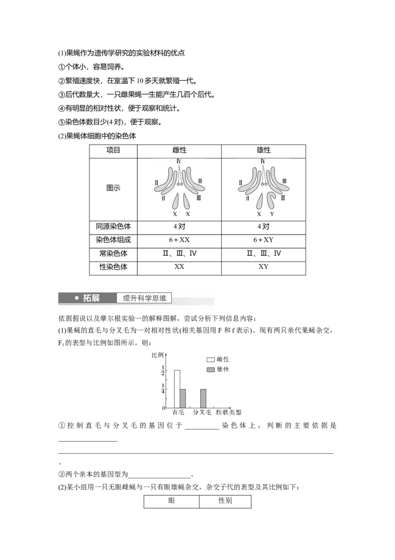 第5单元　第7课时　基因在染色体上的假说与证据_2024年新高考资料_1.2024一轮复习_2024年高考生物一轮复习讲义（新人教版）_学生版在此文件夹_大一轮复习讲义_第五单元　基因的传递规律