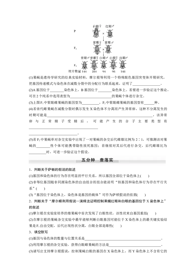 第5单元　第7课时　基因在染色体上的假说与证据_2024年新高考资料_1.2024一轮复习_2024年高考生物一轮复习讲义（新人教版）_学生版在此文件夹_大一轮复习讲义_第五单元　基因的传递规律