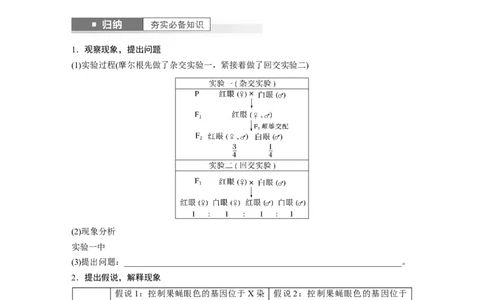 第5单元　第7课时　基因在染色体上的假说与证据_2024年新高考资料_1.2024一轮复习_2024年高考生物一轮复习讲义（新人教版）_学生版在此文件夹_大一轮复习讲义_第五单元　基因的传递规律