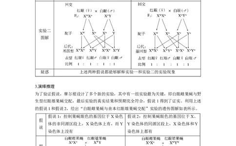 第5单元　第7课时　基因在染色体上的假说与证据_2024年新高考资料_1.2024一轮复习_2024年高考生物一轮复习讲义（新人教版）_学生版在此文件夹_大一轮复习讲义_第五单元　基因的传递规律
