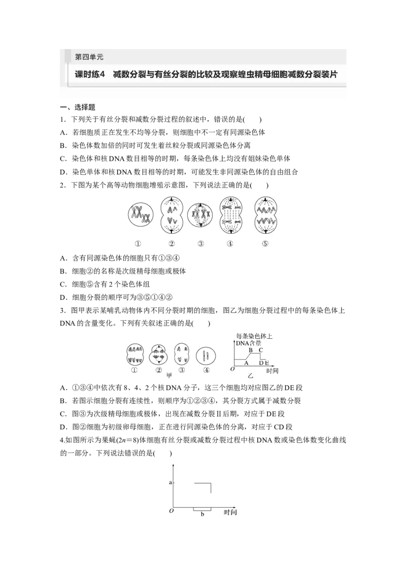 第4单元　课时练4　减数分裂与有丝分裂的比较及观察蝗虫精母细胞减数分裂装片_2024年新高考资料_1.2024一轮复习_2024年高考生物一轮复习讲义（新人教版）_学生版在此文件夹_一轮复习69练