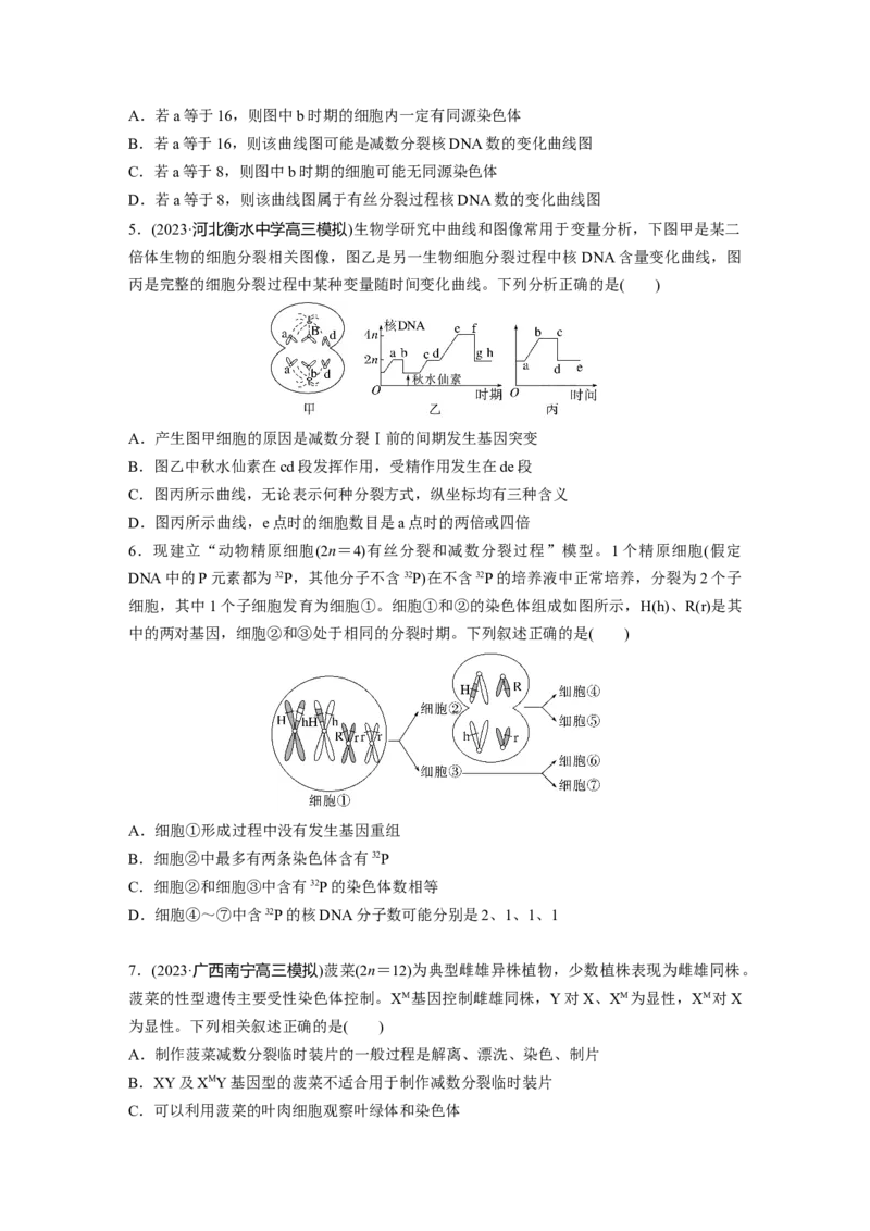 第4单元　课时练4　减数分裂与有丝分裂的比较及观察蝗虫精母细胞减数分裂装片_2024年新高考资料_1.2024一轮复习_2024年高考生物一轮复习讲义（新人教版）_学生版在此文件夹_一轮复习69练