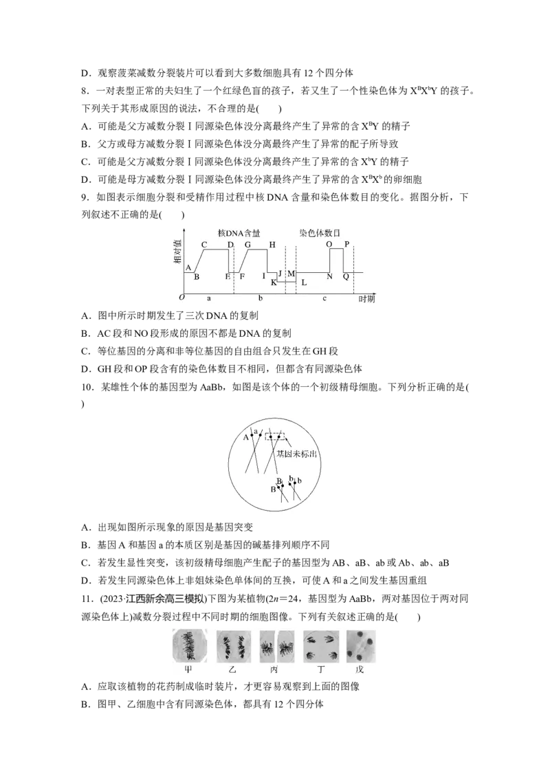 第4单元　课时练4　减数分裂与有丝分裂的比较及观察蝗虫精母细胞减数分裂装片_2024年新高考资料_1.2024一轮复习_2024年高考生物一轮复习讲义（新人教版）_学生版在此文件夹_一轮复习69练