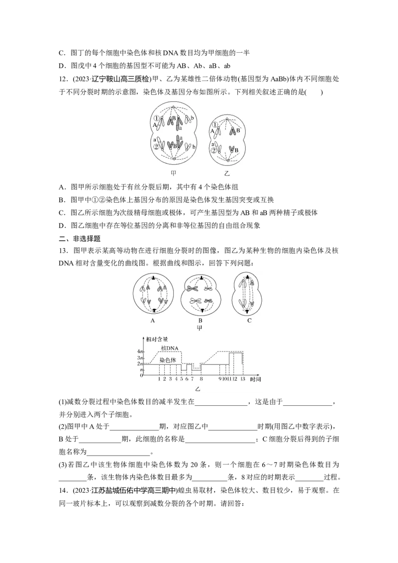 第4单元　课时练4　减数分裂与有丝分裂的比较及观察蝗虫精母细胞减数分裂装片_2024年新高考资料_1.2024一轮复习_2024年高考生物一轮复习讲义（新人教版）_学生版在此文件夹_一轮复习69练