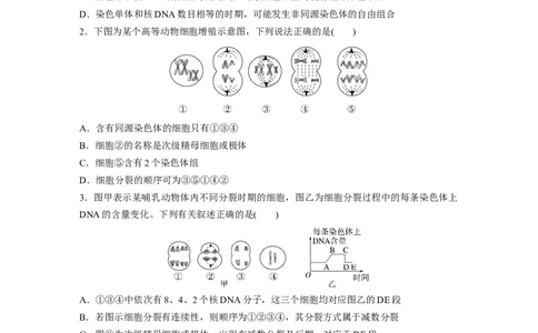 第4单元　课时练4　减数分裂与有丝分裂的比较及观察蝗虫精母细胞减数分裂装片_2024年新高考资料_1.2024一轮复习_2024年高考生物一轮复习讲义（新人教版）_学生版在此文件夹_一轮复习69练