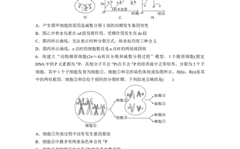 第4单元　课时练4　减数分裂与有丝分裂的比较及观察蝗虫精母细胞减数分裂装片_2024年新高考资料_1.2024一轮复习_2024年高考生物一轮复习讲义（新人教版）_学生版在此文件夹_一轮复习69练