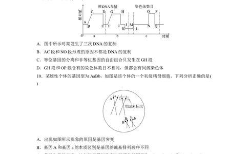 第4单元　课时练4　减数分裂与有丝分裂的比较及观察蝗虫精母细胞减数分裂装片_2024年新高考资料_1.2024一轮复习_2024年高考生物一轮复习讲义（新人教版）_学生版在此文件夹_一轮复习69练