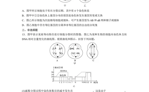 第4单元　课时练4　减数分裂与有丝分裂的比较及观察蝗虫精母细胞减数分裂装片_2024年新高考资料_1.2024一轮复习_2024年高考生物一轮复习讲义（新人教版）_学生版在此文件夹_一轮复习69练