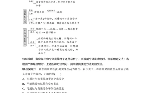 第5单元　第2课时　基因分离定律基础题型突破_2024年新高考资料_1.2024一轮复习_2024年高考生物一轮复习讲义（新人教版）_学生版在此文件夹_大一轮复习讲义_第五单元　基因的传递规律