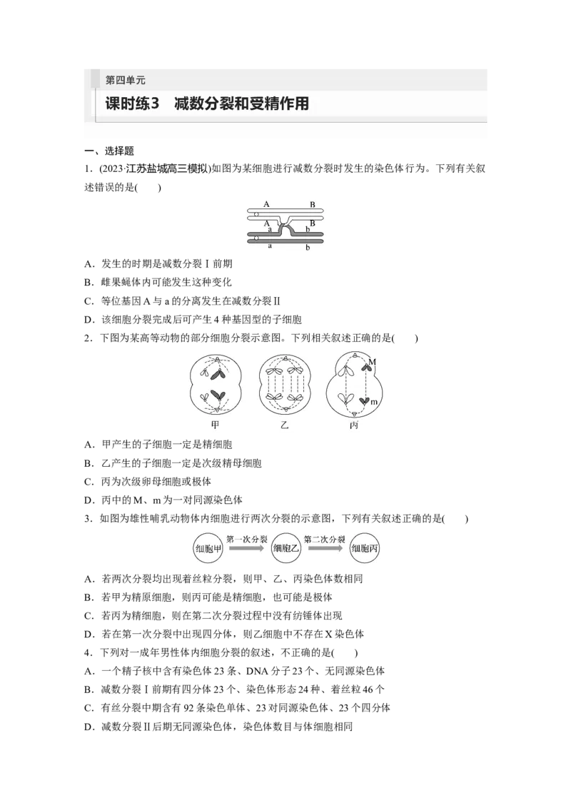 第4单元　课时练3　减数分裂和受精作用_2024年新高考资料_1.2024一轮复习_2024年高考生物一轮复习讲义（新人教版）_学生版在此文件夹_一轮复习69练_第四单元　细胞的生命历程