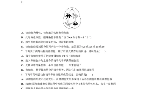 第4单元　课时练3　减数分裂和受精作用_2024年新高考资料_1.2024一轮复习_2024年高考生物一轮复习讲义（新人教版）_学生版在此文件夹_一轮复习69练_第四单元　细胞的生命历程