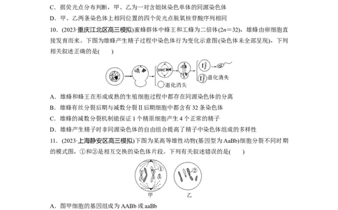 第4单元　课时练3　减数分裂和受精作用_2024年新高考资料_1.2024一轮复习_2024年高考生物一轮复习讲义（新人教版）_学生版在此文件夹_一轮复习69练_第四单元　细胞的生命历程