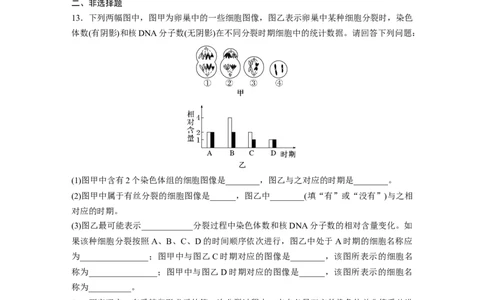 第4单元　课时练3　减数分裂和受精作用_2024年新高考资料_1.2024一轮复习_2024年高考生物一轮复习讲义（新人教版）_学生版在此文件夹_一轮复习69练_第四单元　细胞的生命历程