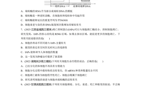 第4单元　课时练5　细胞的分化、衰老和死亡_2024年新高考资料_1.2024一轮复习_2024年高考生物一轮复习讲义（新人教版）_学生版在此文件夹_一轮复习69练_第四单元　细胞的生命历程