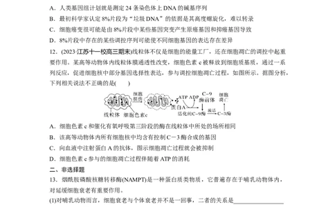 第4单元　课时练5　细胞的分化、衰老和死亡_2024年新高考资料_1.2024一轮复习_2024年高考生物一轮复习讲义（新人教版）_学生版在此文件夹_一轮复习69练_第四单元　细胞的生命历程