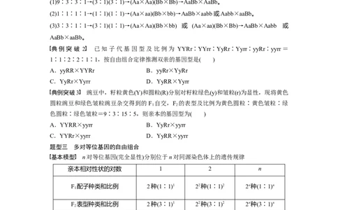 第5单元　第5课时　基因自由组合定律基础题型突破_2024年新高考资料_1.2024一轮复习_2024年高考生物一轮复习讲义（新人教版）_学生版在此文件夹_大一轮复习讲义