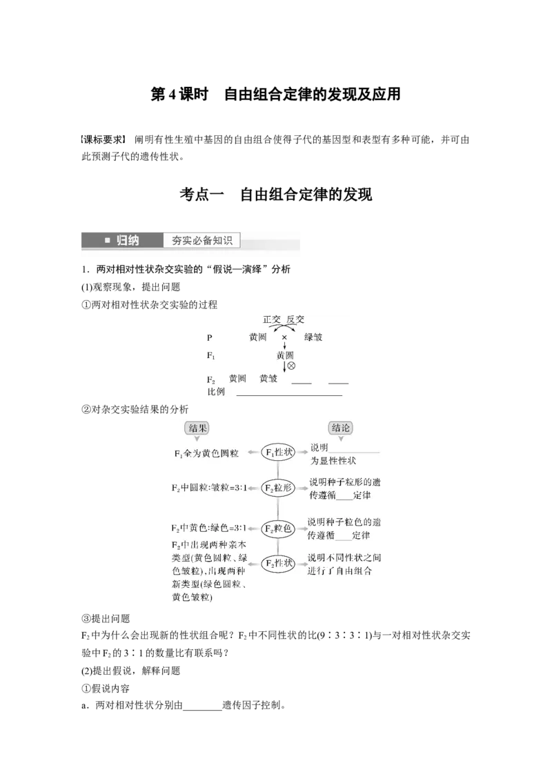 第5单元　第4课时　自由组合定律的发现及应用_2024年新高考资料_1.2024一轮复习_2024年高考生物一轮复习讲义（新人教版）_学生版在此文件夹_大一轮复习讲义_第五单元　基因的传递规律
