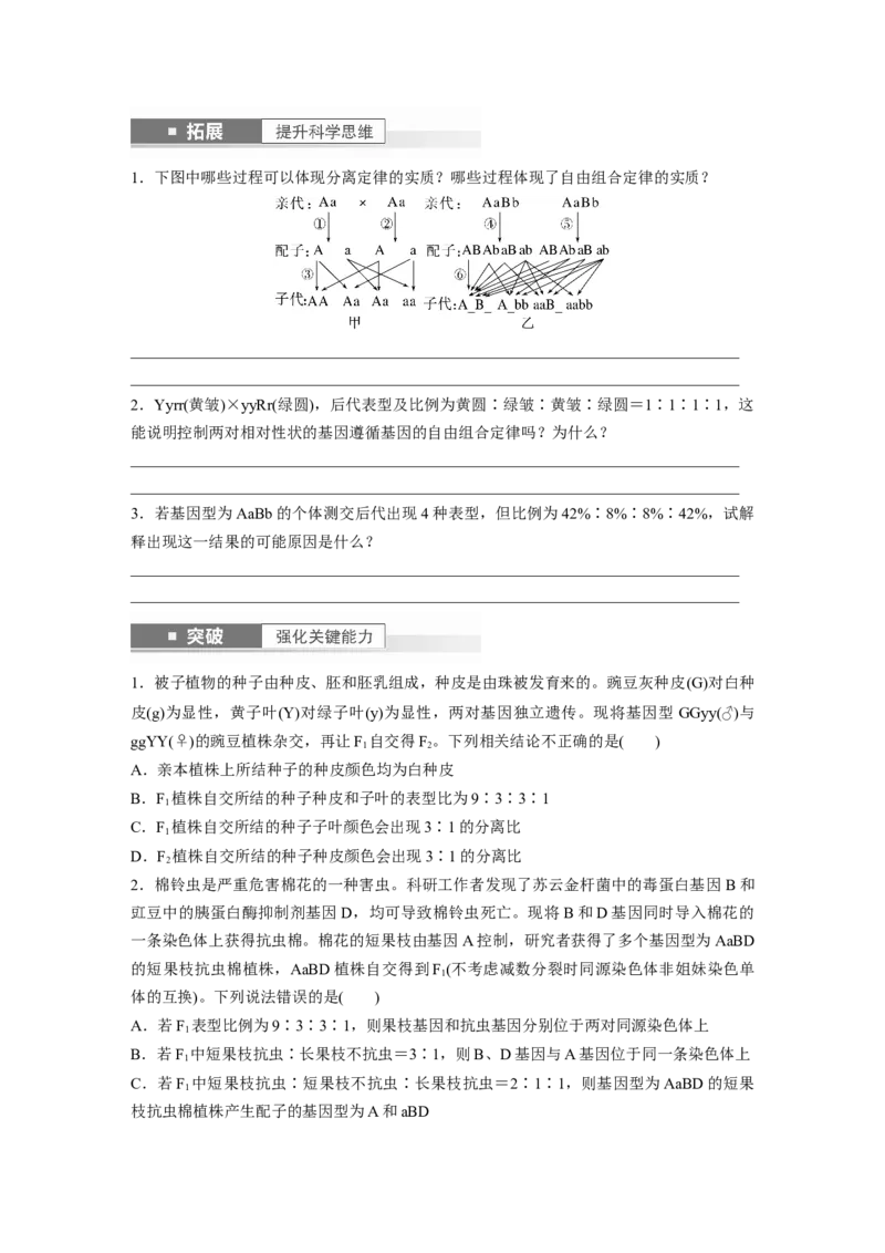 第5单元　第4课时　自由组合定律的发现及应用_2024年新高考资料_1.2024一轮复习_2024年高考生物一轮复习讲义（新人教版）_学生版在此文件夹_大一轮复习讲义_第五单元　基因的传递规律