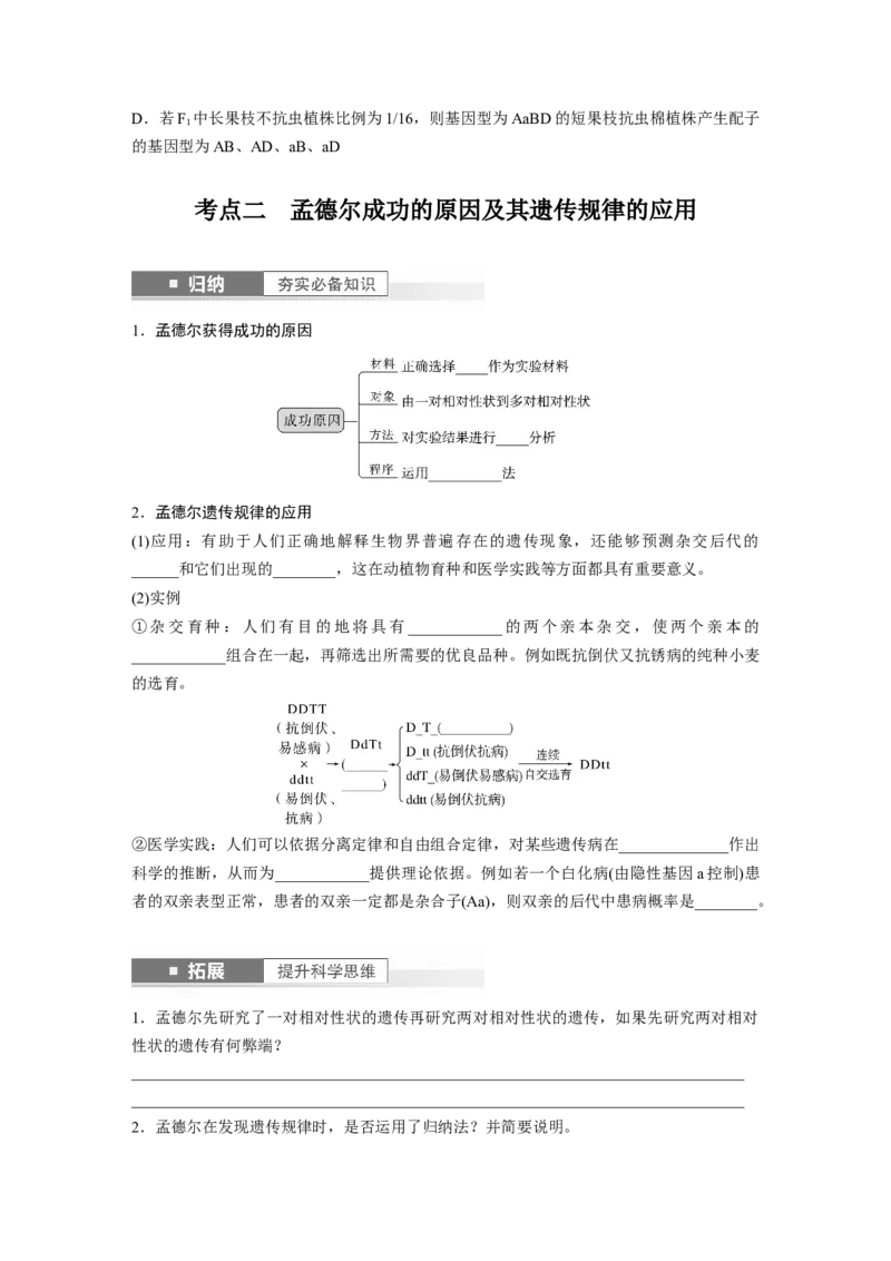 第5单元　第4课时　自由组合定律的发现及应用_2024年新高考资料_1.2024一轮复习_2024年高考生物一轮复习讲义（新人教版）_学生版在此文件夹_大一轮复习讲义_第五单元　基因的传递规律