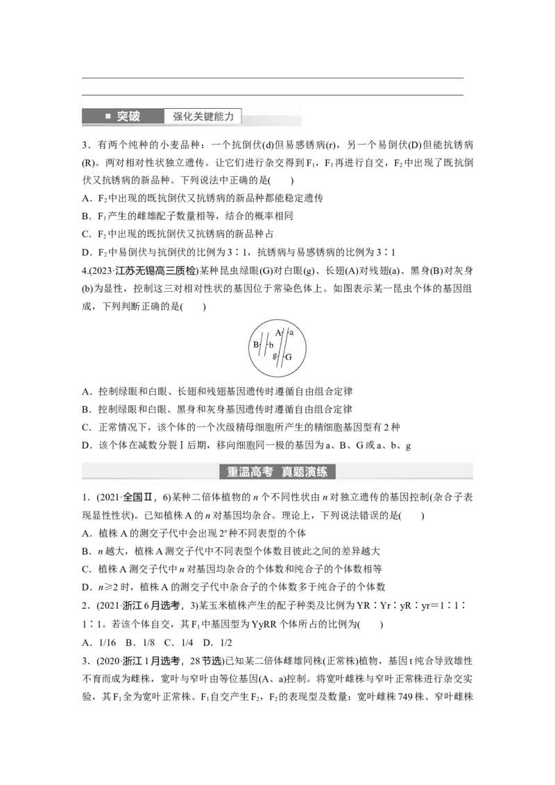第5单元　第4课时　自由组合定律的发现及应用_2024年新高考资料_1.2024一轮复习_2024年高考生物一轮复习讲义（新人教版）_学生版在此文件夹_大一轮复习讲义_第五单元　基因的传递规律
