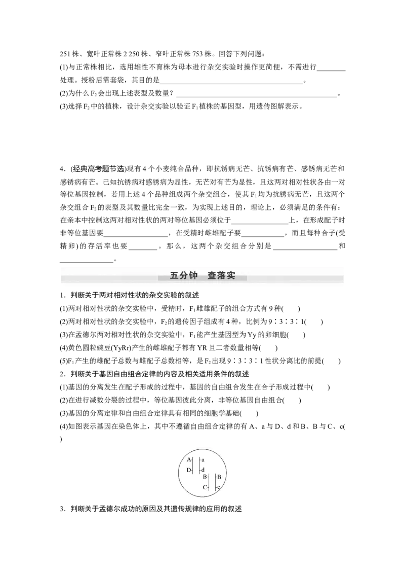 第5单元　第4课时　自由组合定律的发现及应用_2024年新高考资料_1.2024一轮复习_2024年高考生物一轮复习讲义（新人教版）_学生版在此文件夹_大一轮复习讲义_第五单元　基因的传递规律