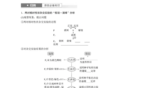 第5单元　第4课时　自由组合定律的发现及应用_2024年新高考资料_1.2024一轮复习_2024年高考生物一轮复习讲义（新人教版）_学生版在此文件夹_大一轮复习讲义_第五单元　基因的传递规律