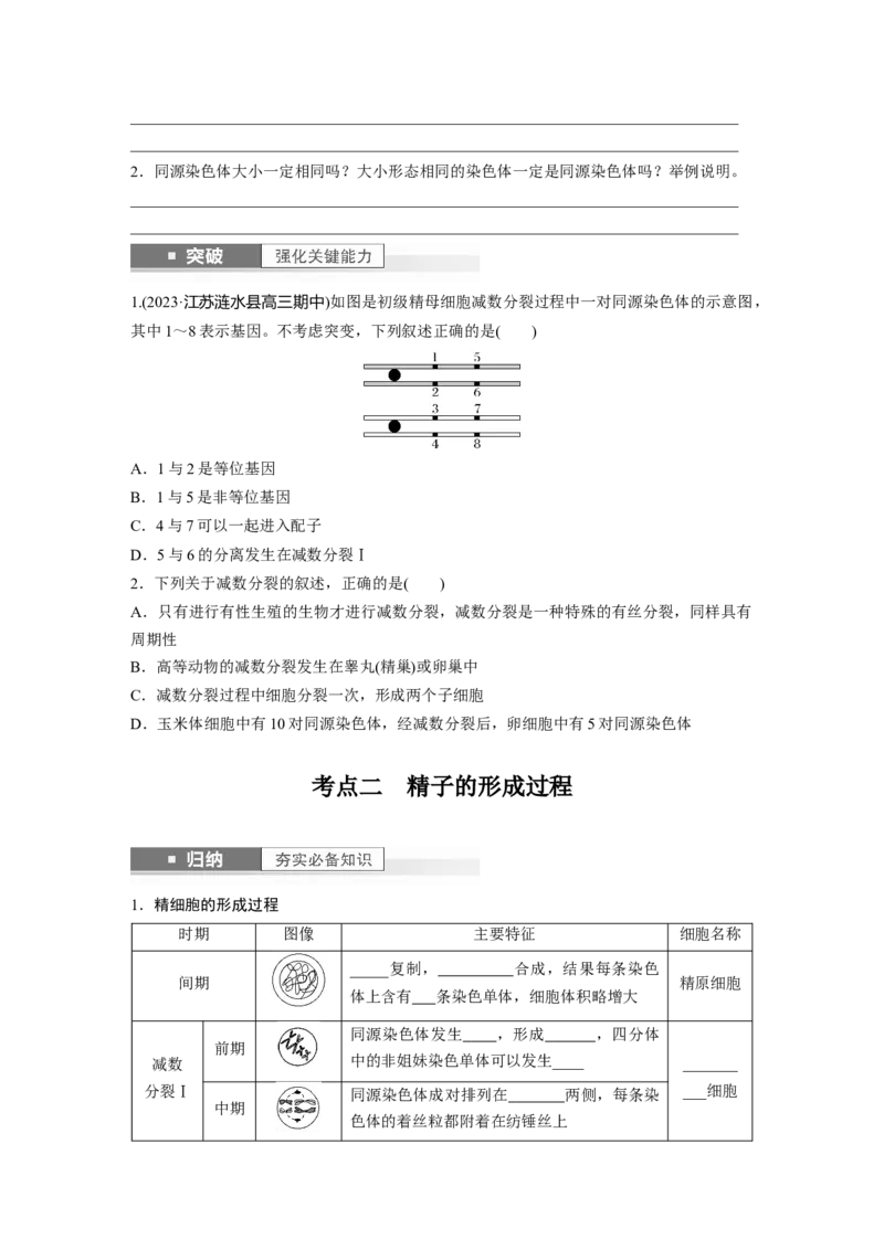 第4单元　第3课时　减数分裂和受精作用_2024年新高考资料_1.2024一轮复习_2024年高考生物一轮复习讲义（新人教版）_学生版在此文件夹_大一轮复习讲义_第四单元　细胞的生命历程