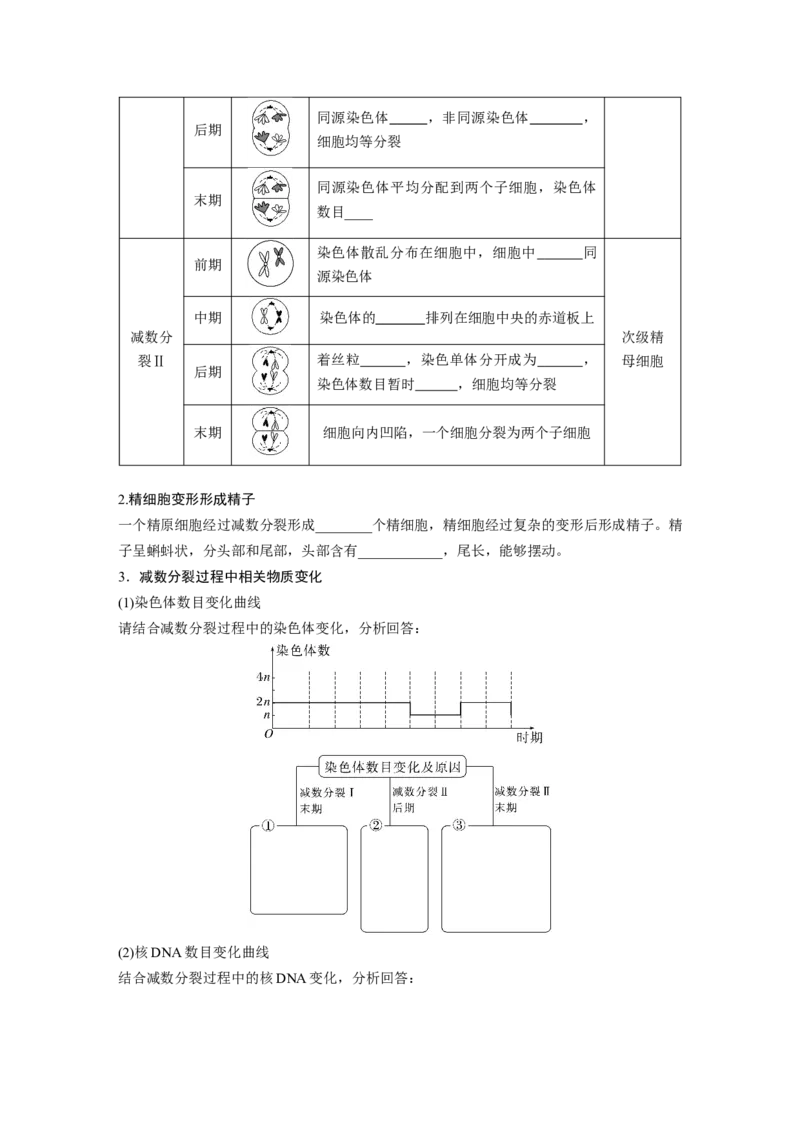第4单元　第3课时　减数分裂和受精作用_2024年新高考资料_1.2024一轮复习_2024年高考生物一轮复习讲义（新人教版）_学生版在此文件夹_大一轮复习讲义_第四单元　细胞的生命历程