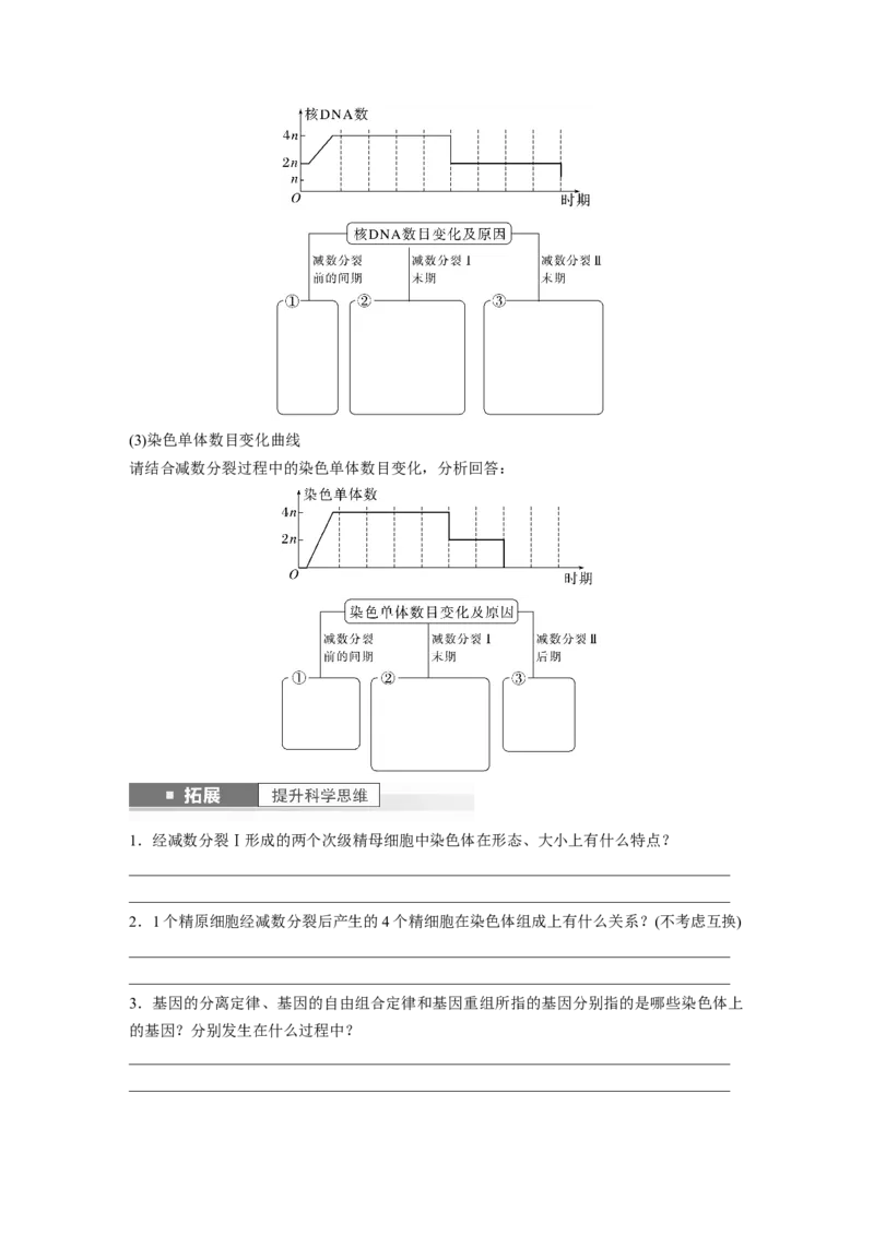 第4单元　第3课时　减数分裂和受精作用_2024年新高考资料_1.2024一轮复习_2024年高考生物一轮复习讲义（新人教版）_学生版在此文件夹_大一轮复习讲义_第四单元　细胞的生命历程