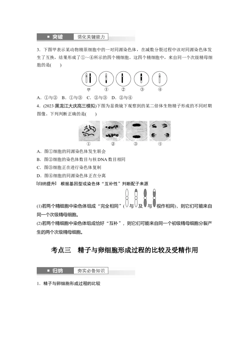 第4单元　第3课时　减数分裂和受精作用_2024年新高考资料_1.2024一轮复习_2024年高考生物一轮复习讲义（新人教版）_学生版在此文件夹_大一轮复习讲义_第四单元　细胞的生命历程